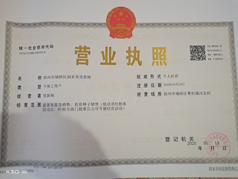 辣椒苗小皱皮辣椒苗，皱皱皮辣椒苗邹皮椒抗病香辣