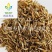【五谷虫】@【同欢药材】中药材批发供应规格齐全