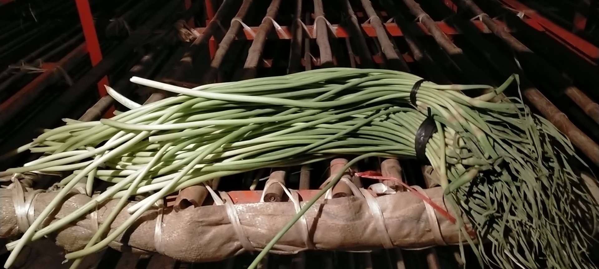 金乡蒜薹恒温冷库场景图