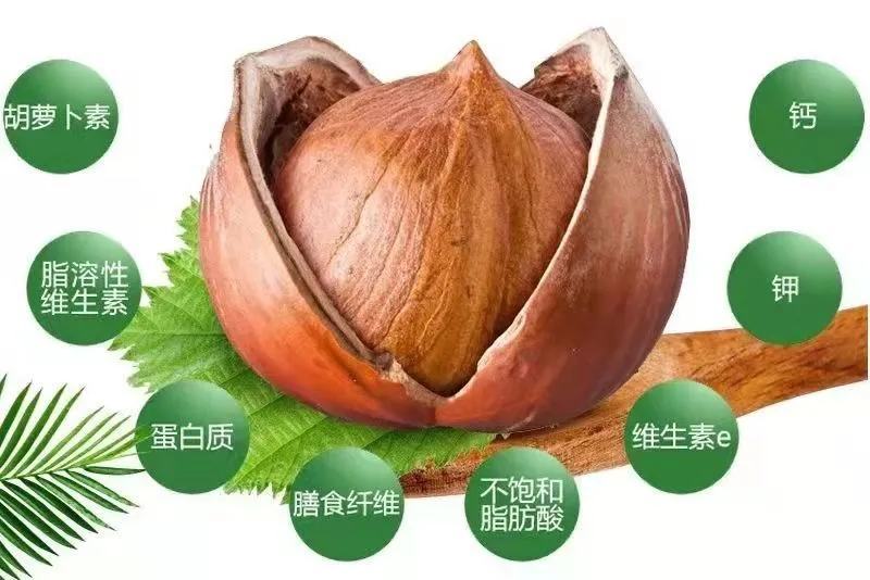 （包邮）炒熟大榛子香脆可口！长白山特产批发零售