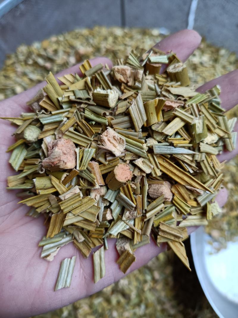 包邮铁树叶干货新货一公斤起卖量大从优欢迎咨询