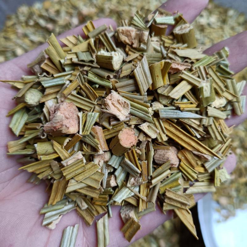 包邮铁树叶干货新货一公斤起卖量大从优欢迎咨询