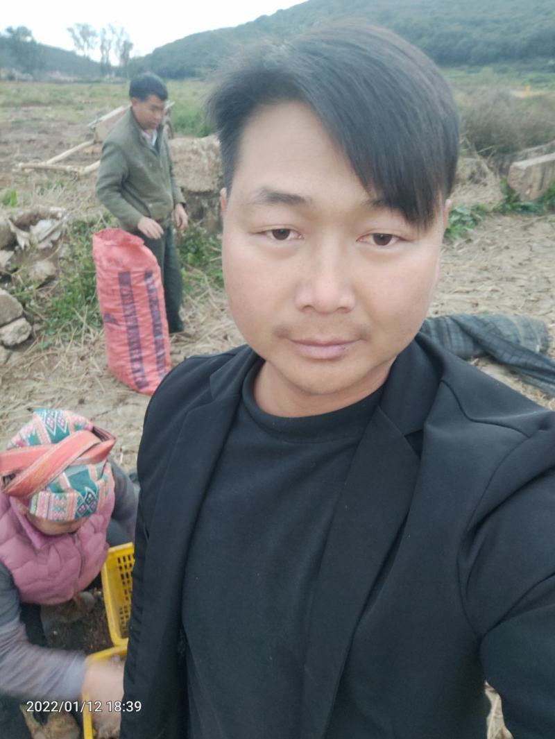 正宗毛马蹄荸荠特大果产地直供欢迎各地采购商采购