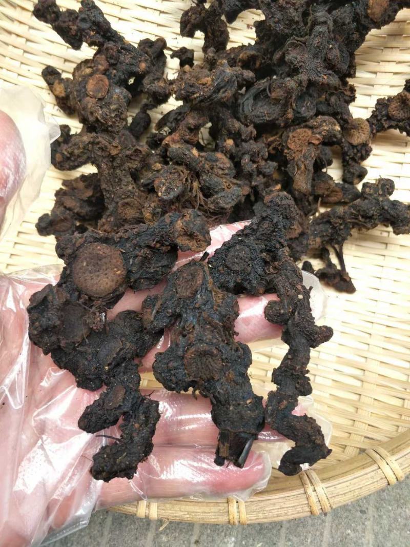黄精九制黄精九蒸九晒野生黄精中药材