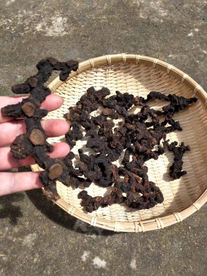 黄精九制黄精九蒸九晒野生黄精中药材
