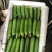 【精品】水果黄瓜，价格优惠，诚信经营，量大优惠，大量供应