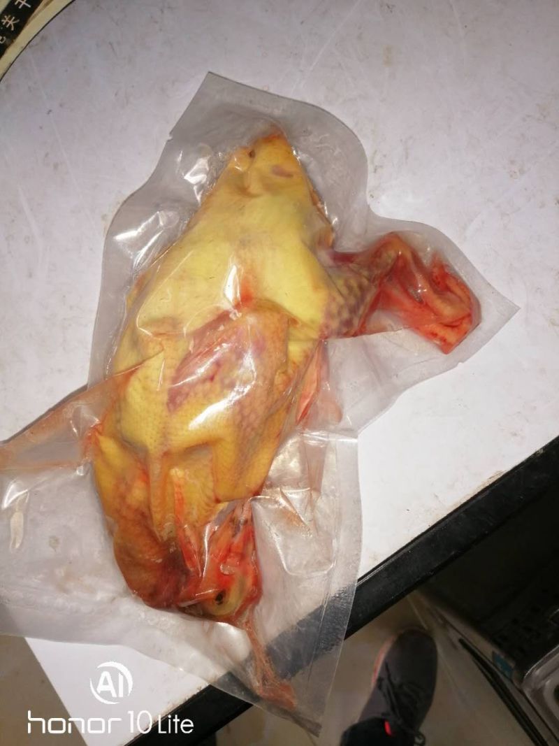 鸽子，白条鸽现杀现发货自产自销一手货源一件代发