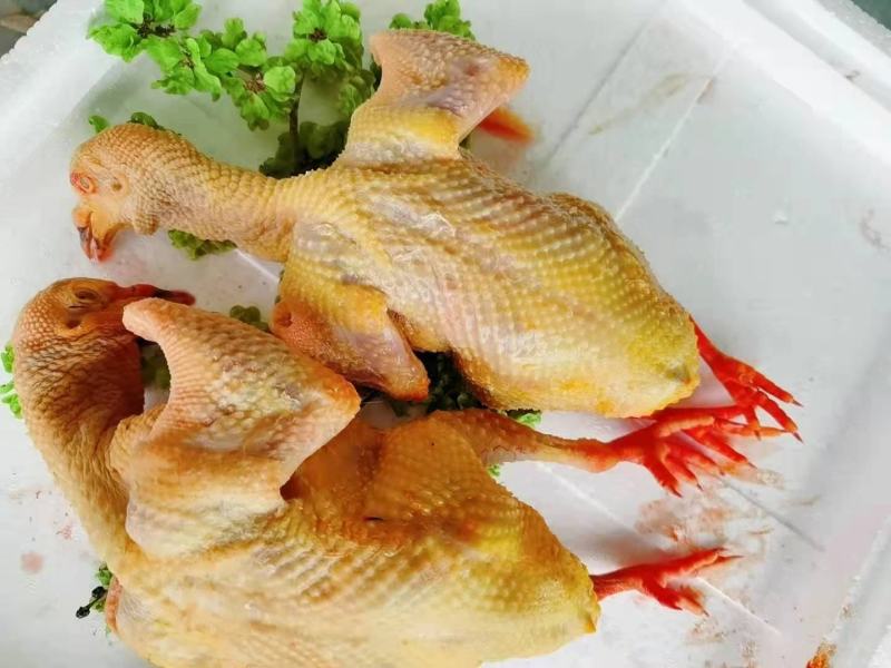 鸽子，白条鸽现杀现发货自产自销一手货源一件代发