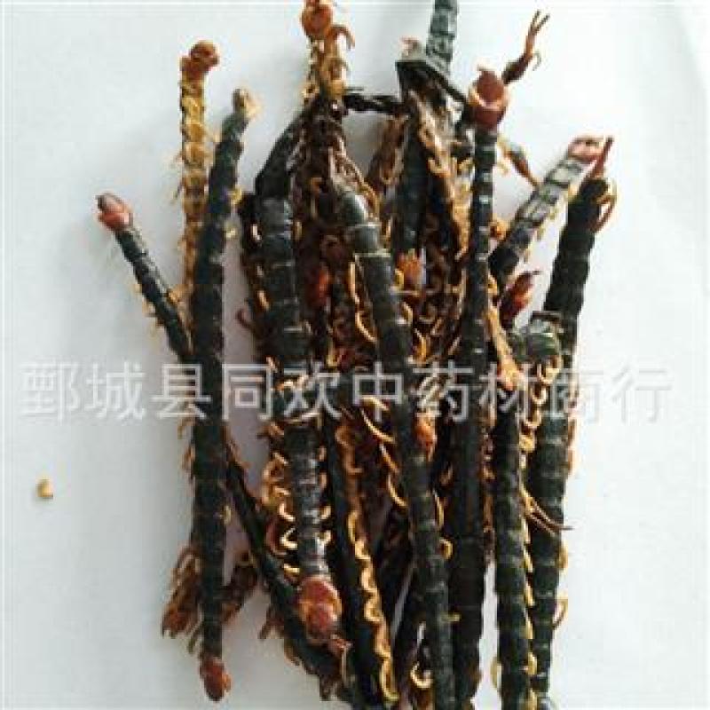 【蜈蚣皮子】@【同欢药材】中药材批发供应规格齐全