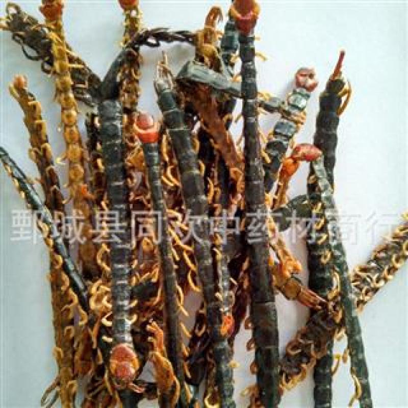 【蜈蚣皮子】@【同欢药材】中药材批发供应规格齐全