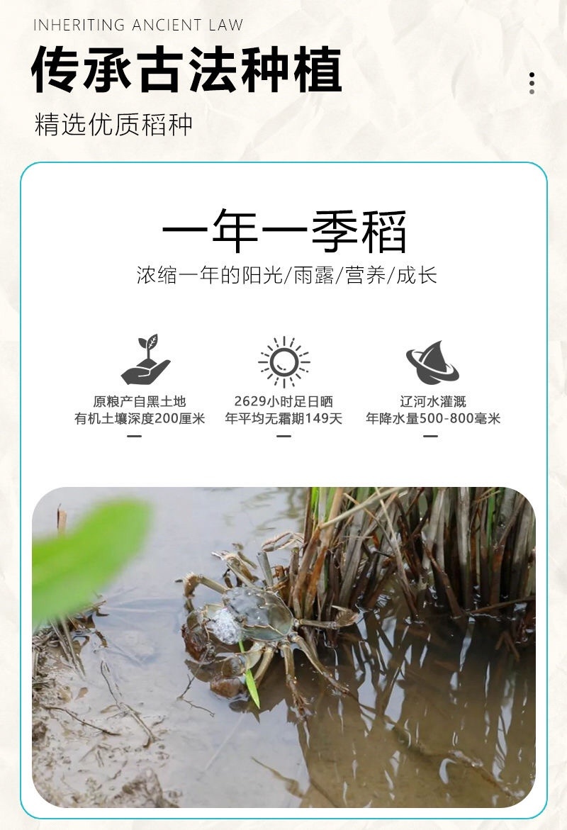 优选东北盘锦蟹田大米真空软糯新米种植长粒稻花香五常批发