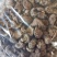 随州香菇3-4茶花菇产地直供出口品质整箱包邮