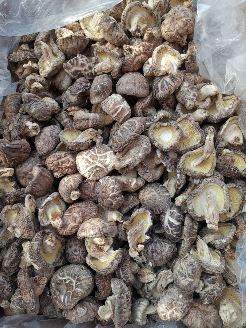 随州香菇3-4茶花菇产地直供出口品质整箱包邮