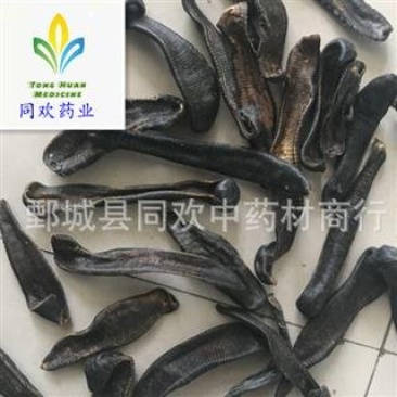 大条清水吊杆水蛭@【同欢药材】中药材批发供应