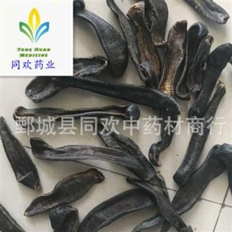 大条清水吊杆水蛭@【同欢药材】中药材批发供应