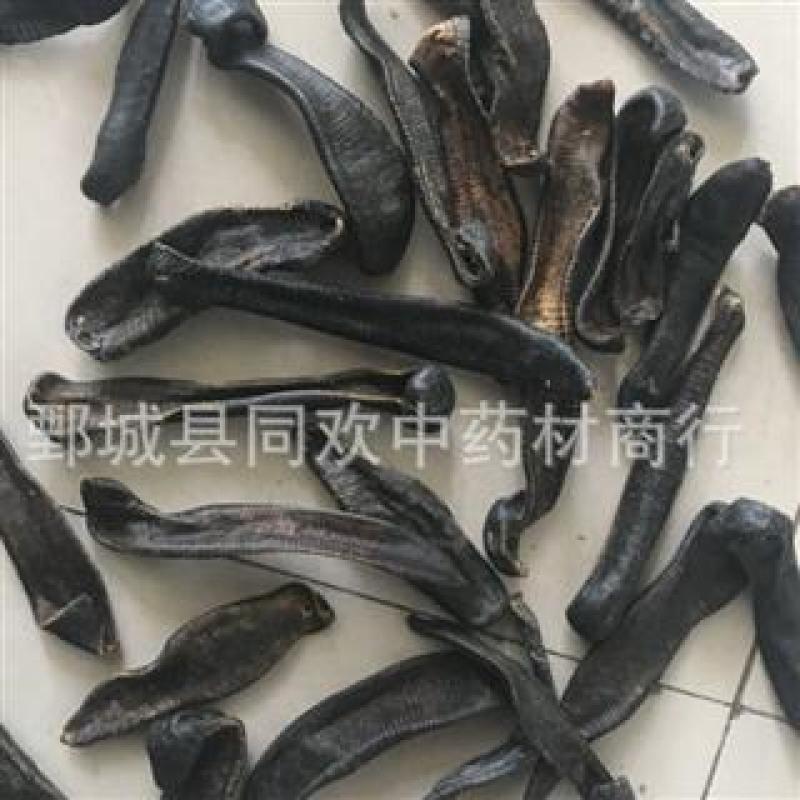 大条清水吊杆水蛭@【同欢药材】中药材批发供应