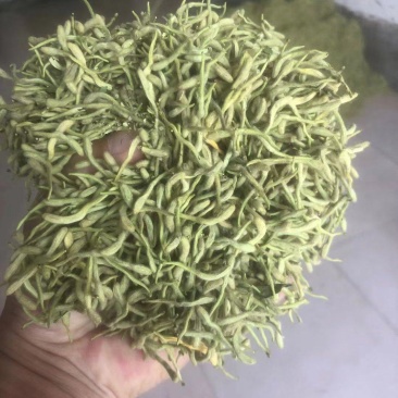 精品金银花产地直供品质保证全国发货欢迎洽谈