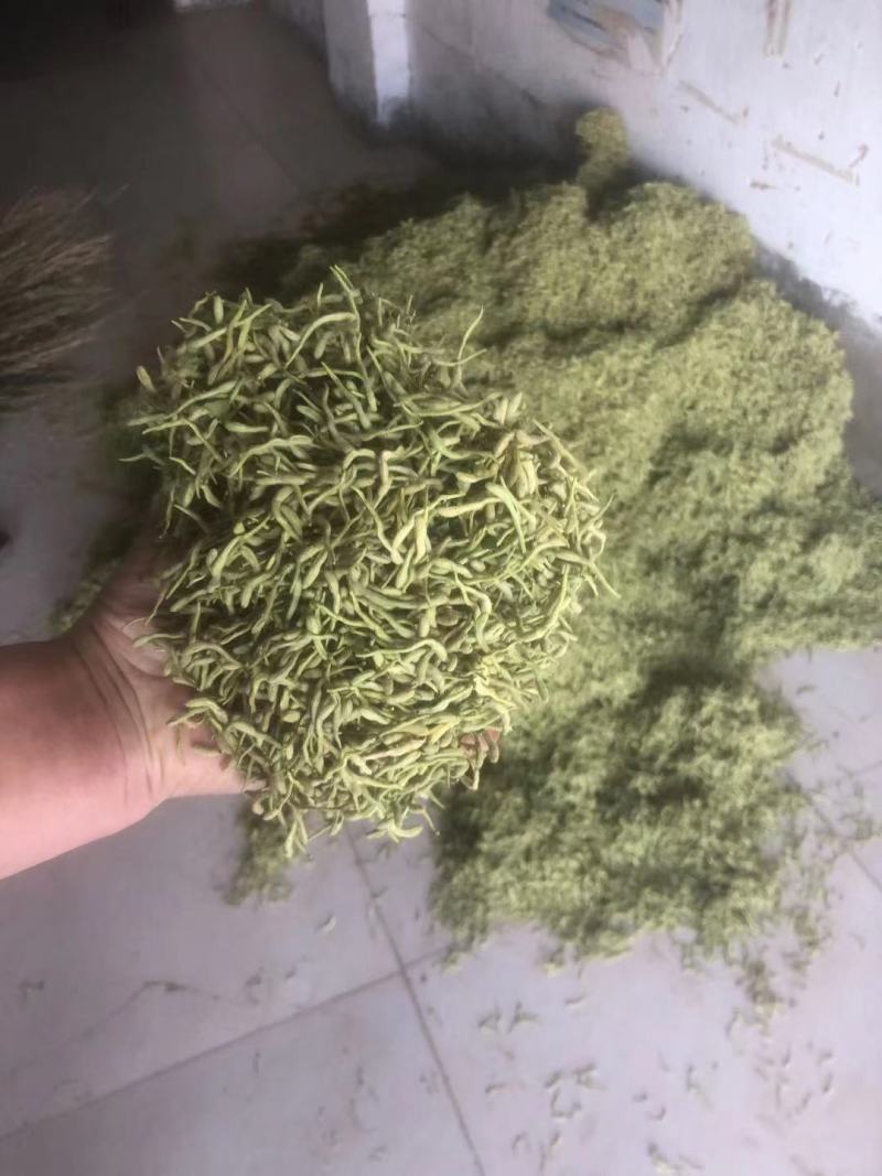 精品金银花产地直供品质保证全国发货欢迎洽谈