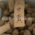 【人中黄】@【同欢药材】中药材批发供应规格齐全