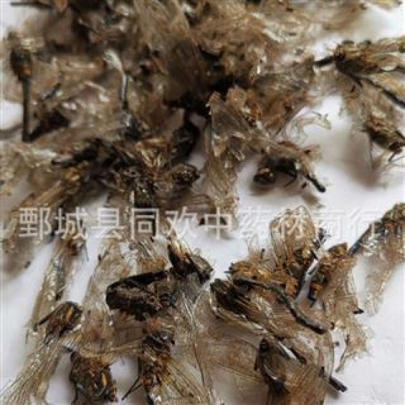 【蜻蜓】@【同欢药材】中药材批发供应规格齐全