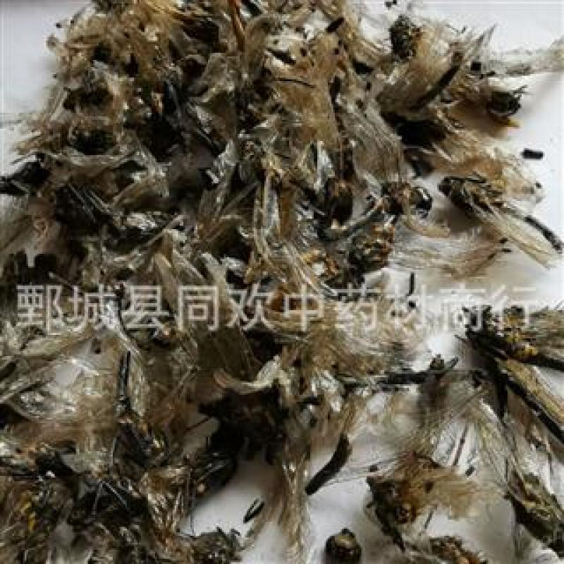 【蜻蜓】@【同欢药材】中药材批发供应规格齐全