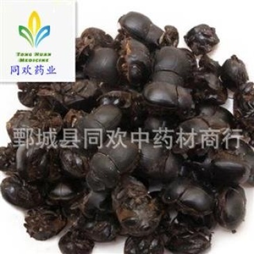 【清水蜣螂屎壳郎大将军】@【同欢药材】中药材批发