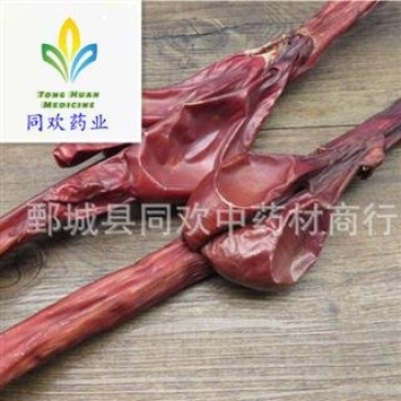 【中条牛鞭】@【同欢药材】中药材批发供应规格齐全
