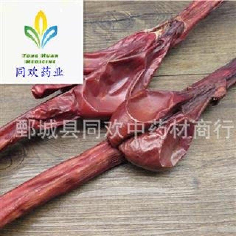 【中条牛鞭】@【同欢药材】中药材批发供应规格齐全