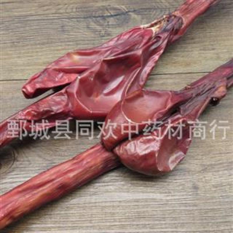 【中条牛鞭】@【同欢药材】中药材批发供应规格齐全