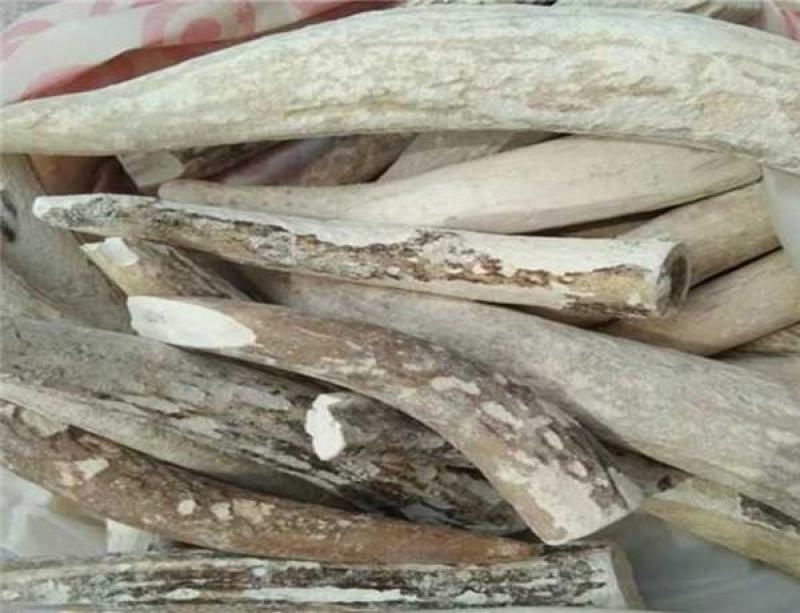 中药材鹿角霜精选特级正品鹿角霜可磨鹿