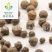 【没食子】@【同欢药材】中药材批发供应规格齐全