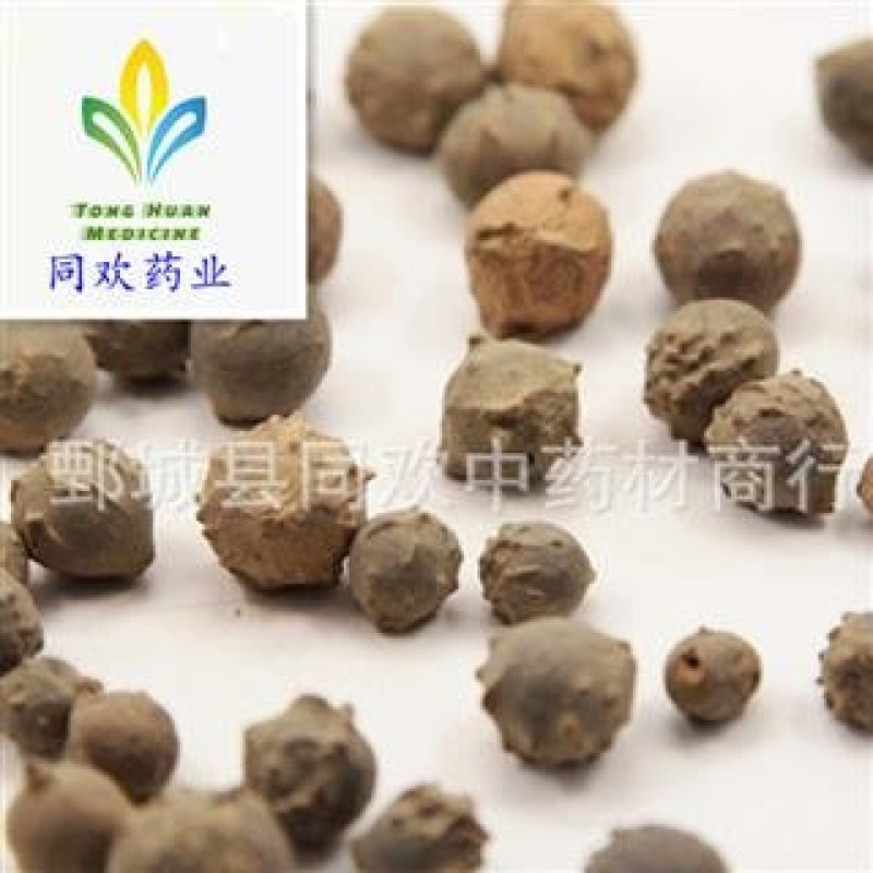 【没食子】@【同欢药材】中药材批发供应规格齐全