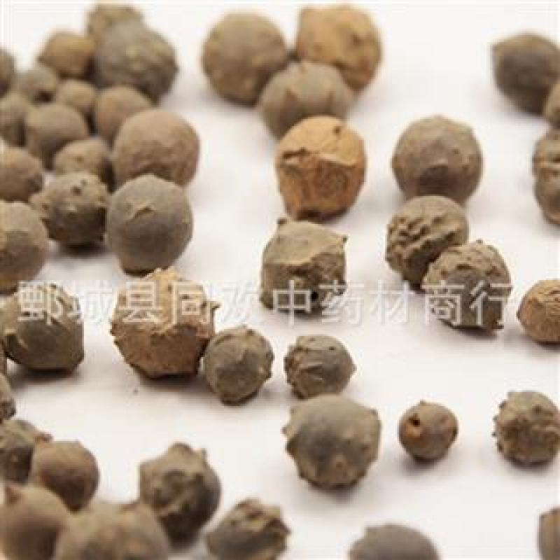 【没食子】@【同欢药材】中药材批发供应规格齐全