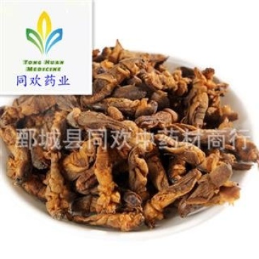 【蝼蛄】@【同欢药材】中药材批发供应规格齐全量大从优