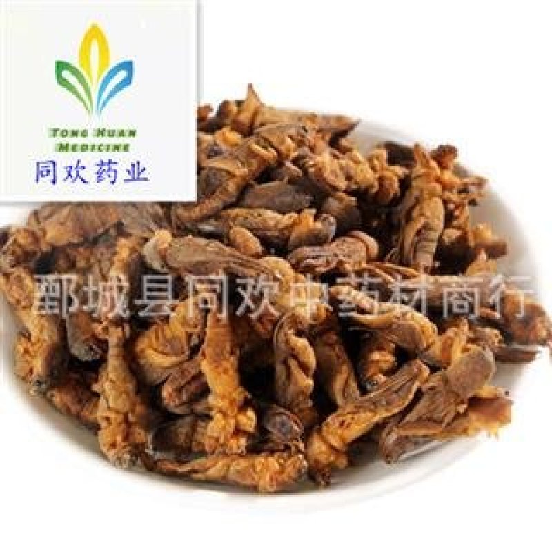 【蝼蛄】@【同欢药材】中药材批发供应规格齐全量大从优