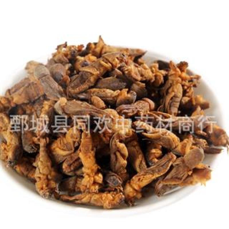 【蝼蛄】@【同欢药材】中药材批发供应规格齐全量大从优