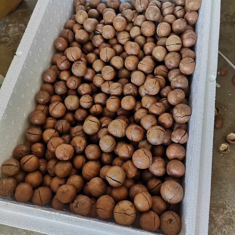 云南农家特产新货夏威夷果澳洲坚果开口原味孕妇坚果零食