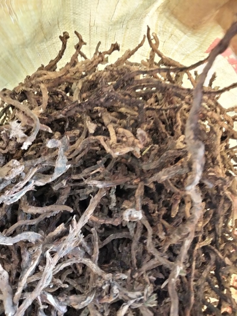 石菖蒲菖蒲全干去根须统货现货供应