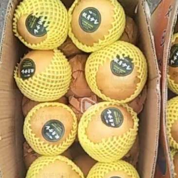 梨