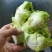儿菜四川精品基地儿菜大心小心子儿菜毛货净货儿菜