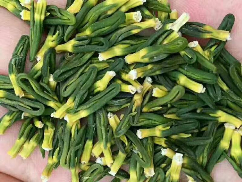 莲子芯