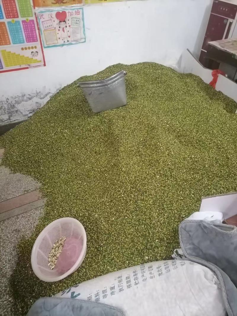 莲子芯