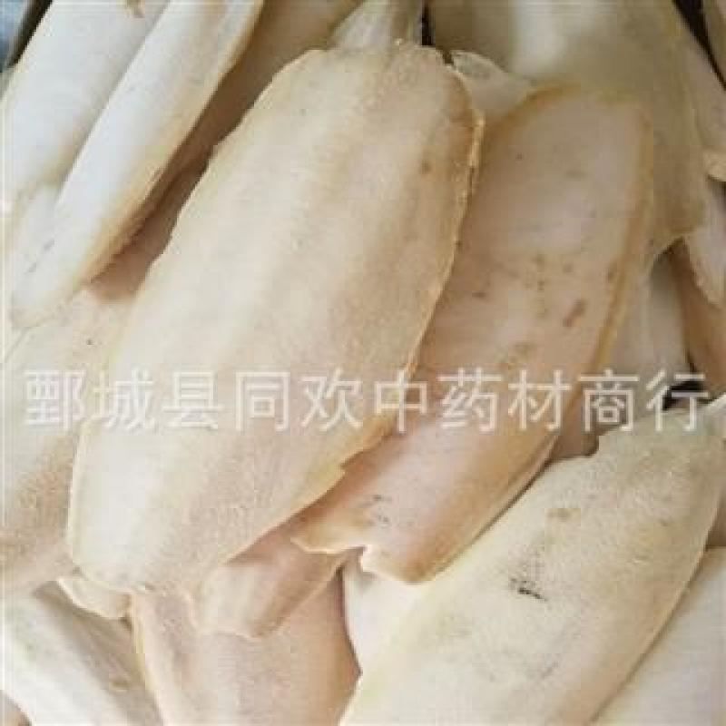 【20公分大个海螵蛸】@【同欢药材】中药材批发