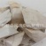 【大选块海螵蛸】@【同欢药材】中药材批发供应