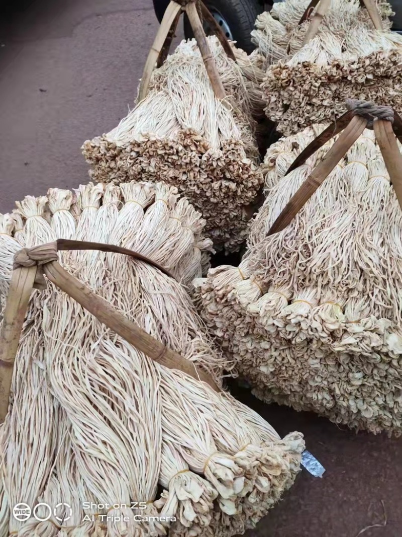 原产地云南萝卜条切段，出口韩国日本萝卜段，对接全国客户