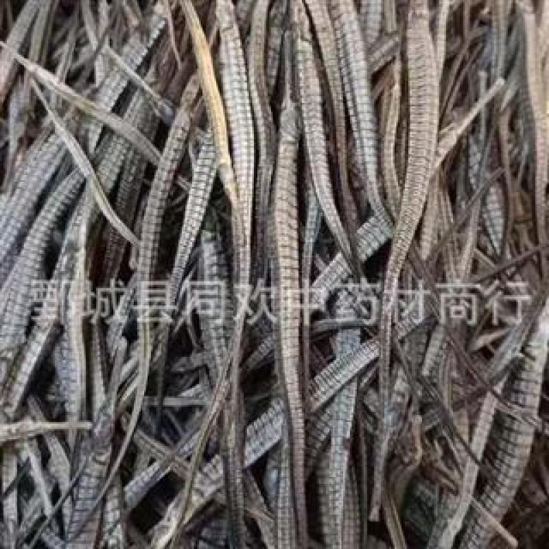 【清水海龙】@【同欢药材】中药材批发供应规格齐全