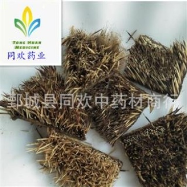 【炒刺猬皮】@【同欢药材】中药材批发供应规格齐