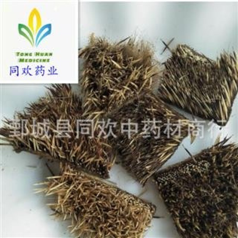 【炒刺猬皮】@【同欢药材】中药材批发供应规格齐