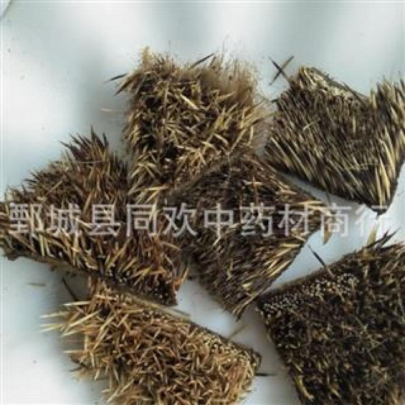 【炒刺猬皮】@【同欢药材】中药材批发供应规格齐