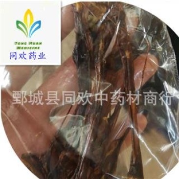 【拉长狗鞭海狗肾】@【同欢药材】中药材批发供应